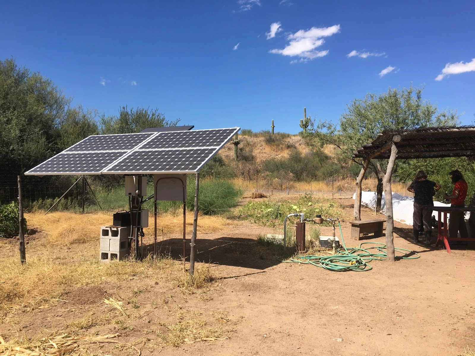 solar panels