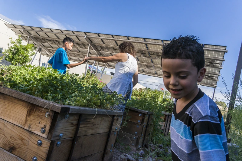 Child in community garden