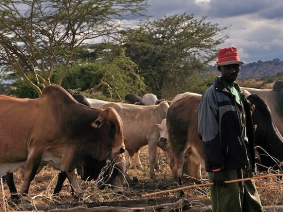 Ethiopia pastoralists