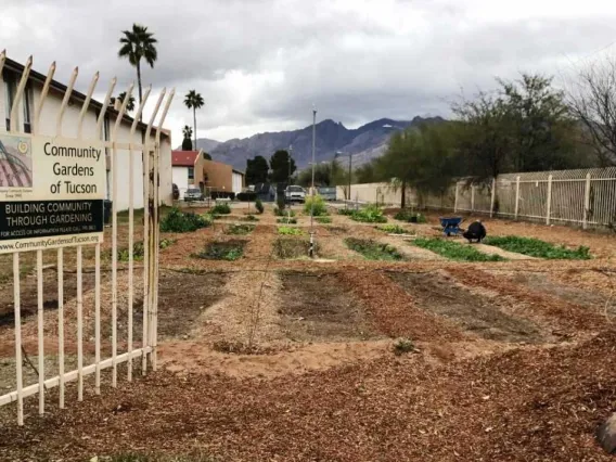 Community garden