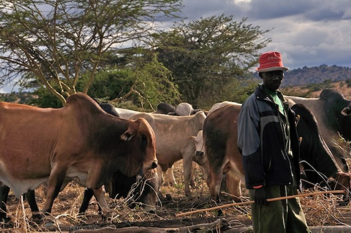 Ethiopia pastoralists