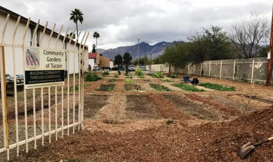 Community garden