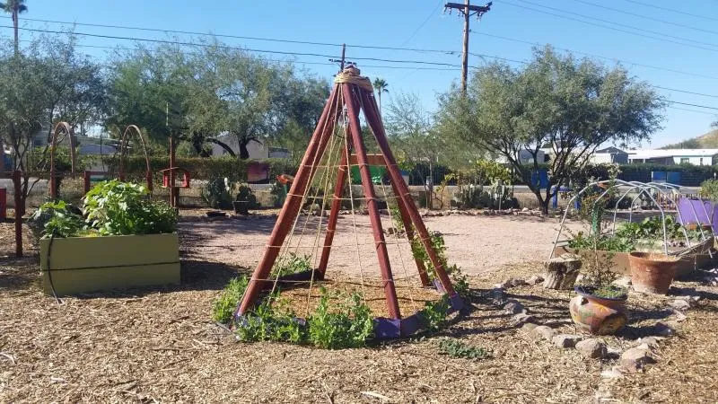 Las Milpitas Community Farm, Community Food Bank of Southern Arizona