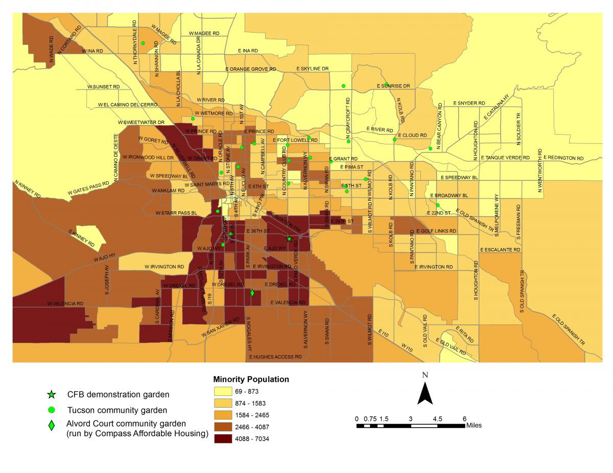 Distribution of minority populations across the city of Tucson, Arizona.