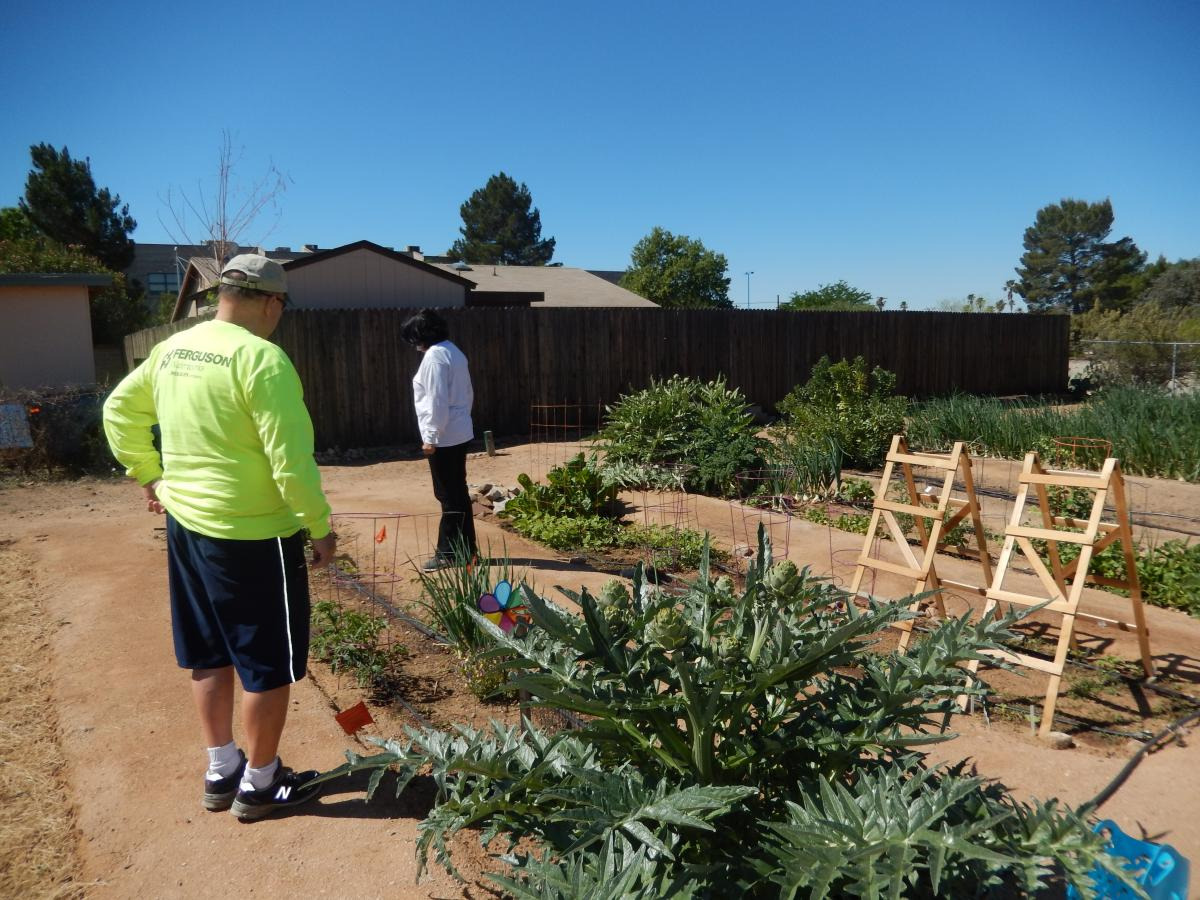 Community Gardens of Tucson’s Keeling Garden