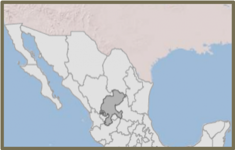 Map of Mexico showing Zacatecas in the middle