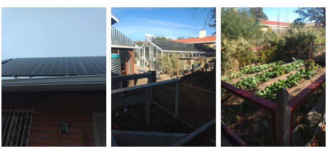 Solar panels, garden and greenhouse